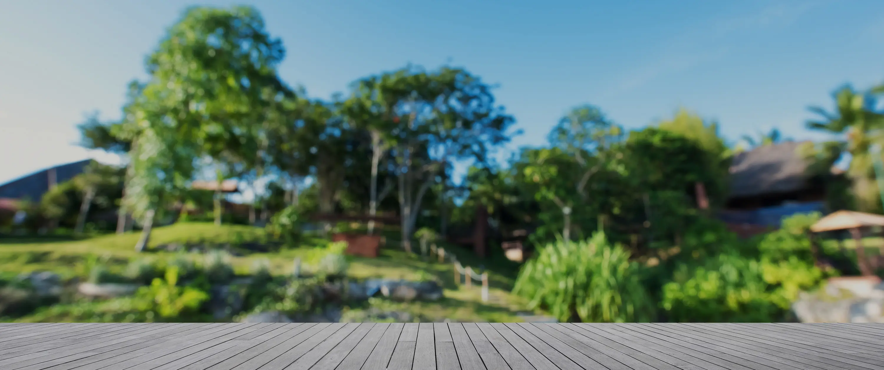 Inspiring Gardens